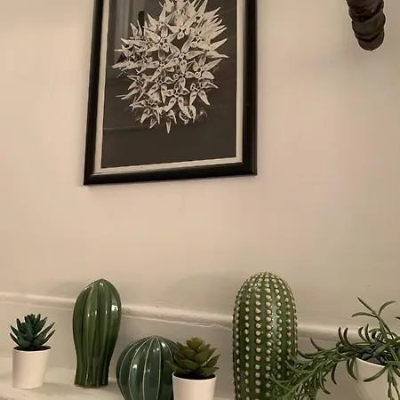 Stanbul House Istanbul