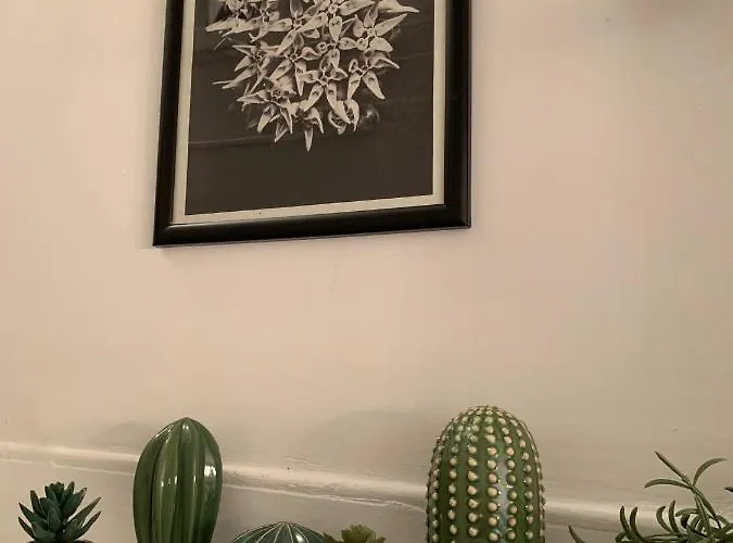 Stanbul House Istambul